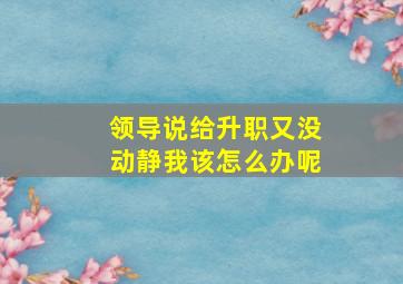 领导说给升职又没动静我该怎么办呢