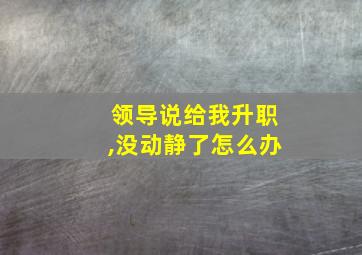 领导说给我升职,没动静了怎么办