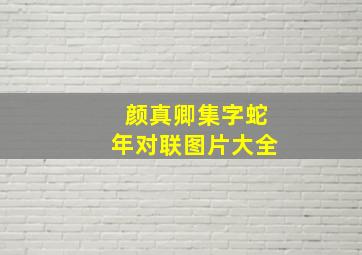 颜真卿集字蛇年对联图片大全