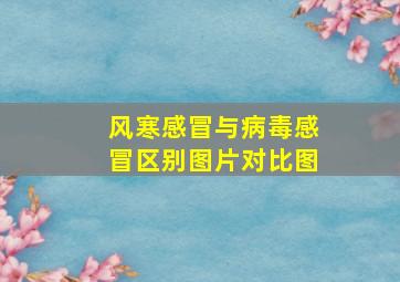 风寒感冒与病毒感冒区别图片对比图