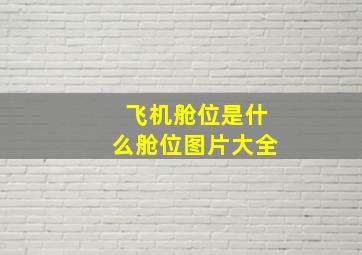 飞机舱位是什么舱位图片大全