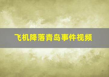 飞机降落青岛事件视频