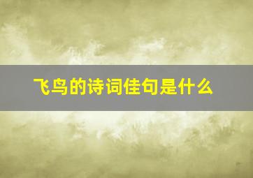 飞鸟的诗词佳句是什么