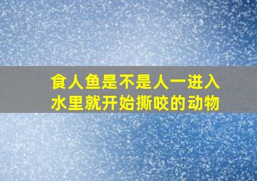 食人鱼是不是人一进入水里就开始撕咬的动物