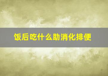 饭后吃什么助消化排便