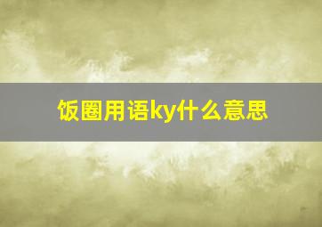 饭圈用语ky什么意思