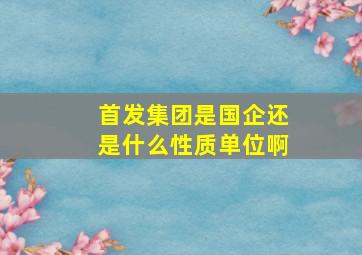 首发集团是国企还是什么性质单位啊