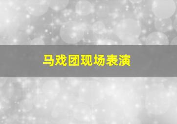 马戏团现场表演