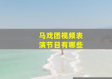 马戏团视频表演节目有哪些