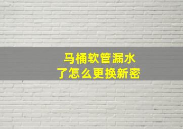 马桶软管漏水了怎么更换新密