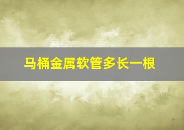 马桶金属软管多长一根