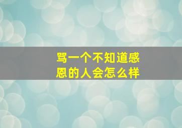 骂一个不知道感恩的人会怎么样