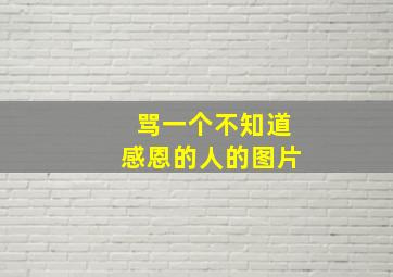 骂一个不知道感恩的人的图片