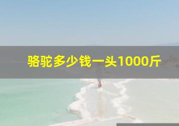 骆驼多少钱一头1000斤