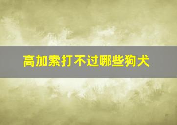 高加索打不过哪些狗犬