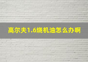 高尔夫1.6烧机油怎么办啊