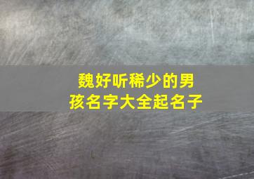 魏好听稀少的男孩名字大全起名子