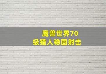 魔兽世界70级猎人稳固射击