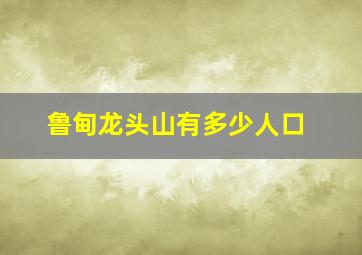 鲁甸龙头山有多少人口