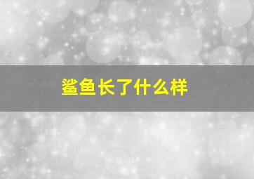 鲨鱼长了什么样