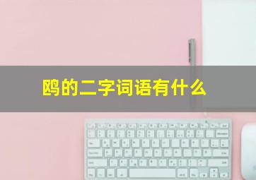 鸥的二字词语有什么