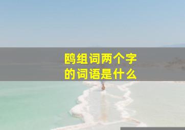 鸥组词两个字的词语是什么