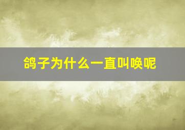 鸽子为什么一直叫唤呢