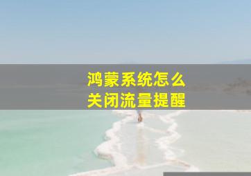 鸿蒙系统怎么关闭流量提醒