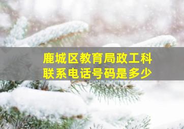 鹿城区教育局政工科联系电话号码是多少