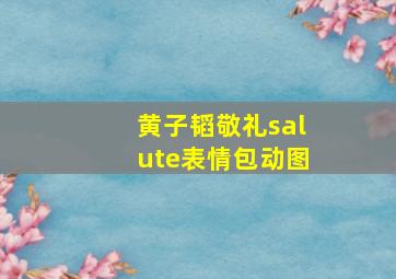 黄子韬敬礼salute表情包动图