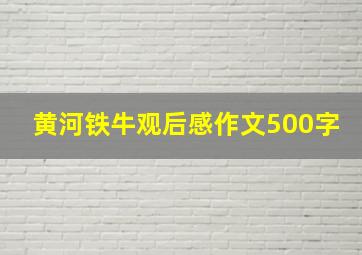 黄河铁牛观后感作文500字