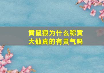 黄鼠狼为什么称黄大仙真的有灵气吗