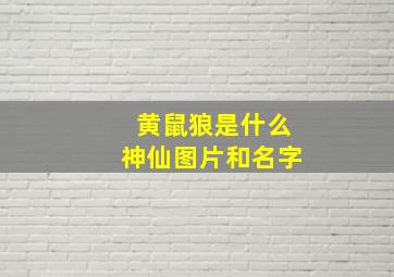 黄鼠狼是什么神仙图片和名字