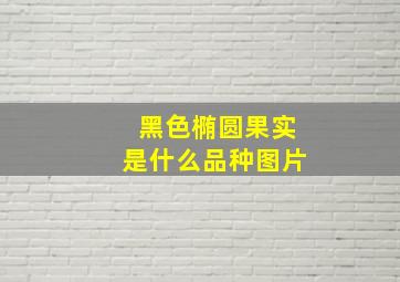 黑色椭圆果实是什么品种图片