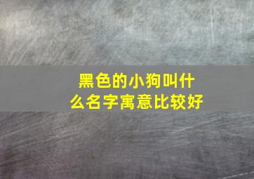 黑色的小狗叫什么名字寓意比较好