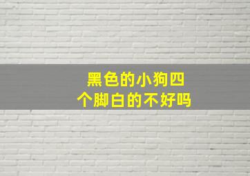 黑色的小狗四个脚白的不好吗