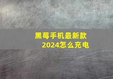 黑莓手机最新款2024怎么充电