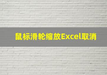 鼠标滑轮缩放Excel取消