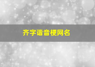 齐字谐音梗网名