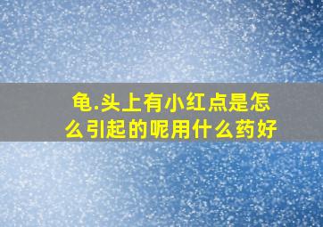 龟.头上有小红点是怎么引起的呢用什么药好